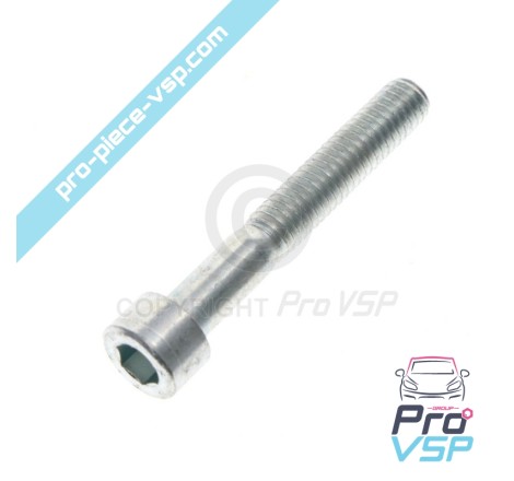 Vilebrequin pulley fixation screw