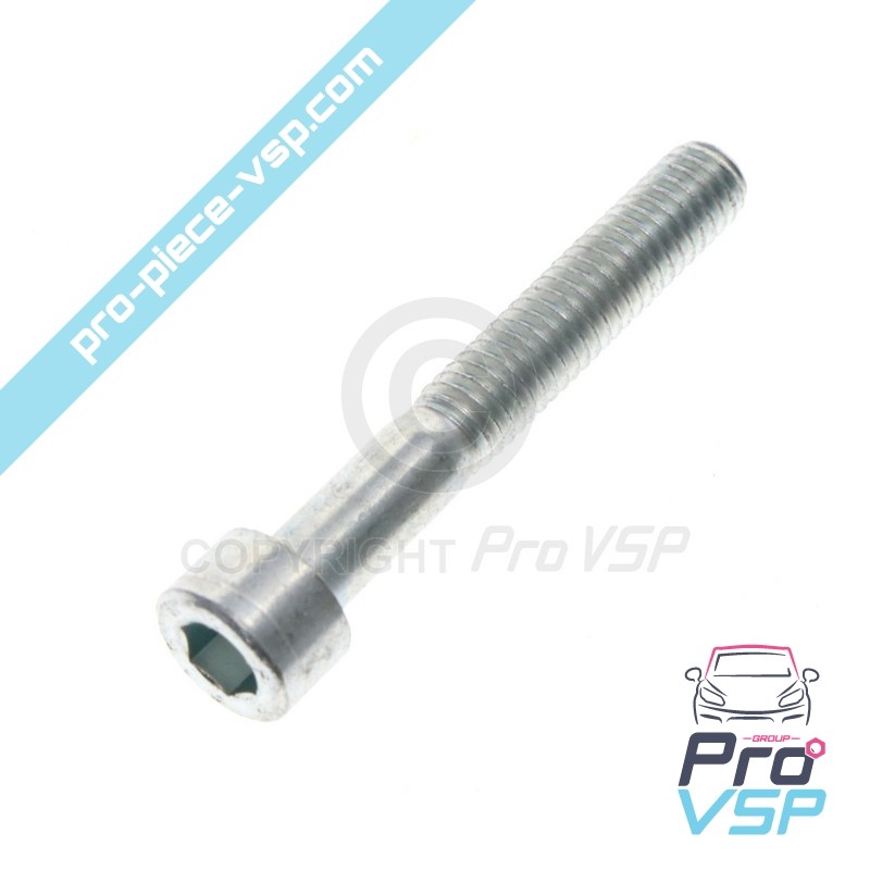 Vilebrequin pulley fixation screw