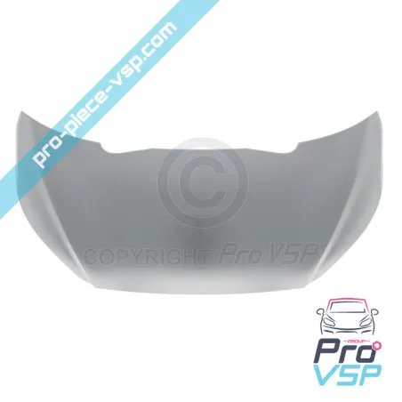 Panel de bonnet externo