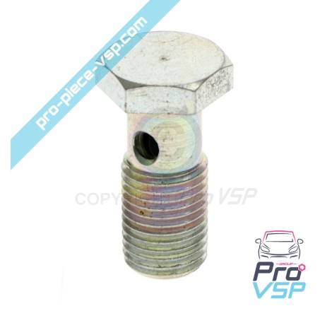 Parafuso de banjo para motor Lombardini Focs 502
