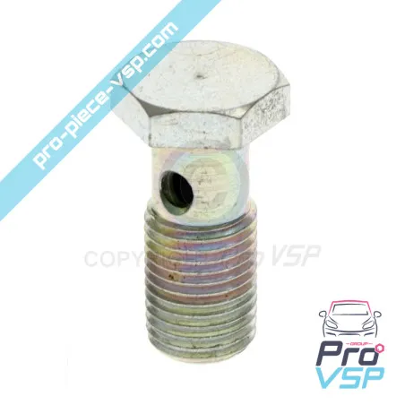 Banjo screw for engine Lombardini Focs 502