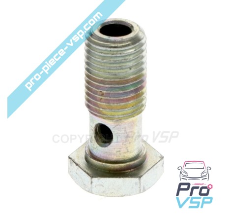 Parafuso de banjo para motor Lombardini Focs 502