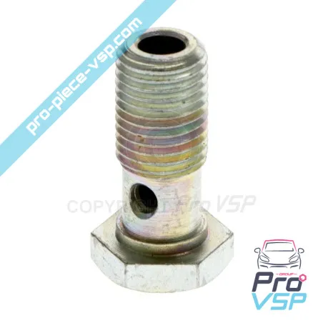 Banjo screw for engine Lombardini Focs 502