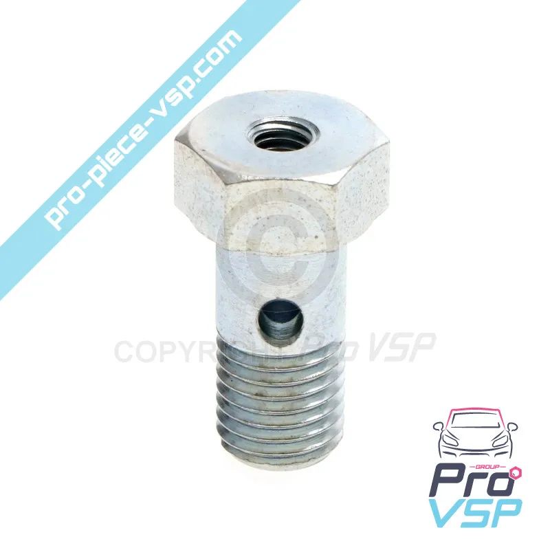 Banjo screw for engine Lombardini 6LD325