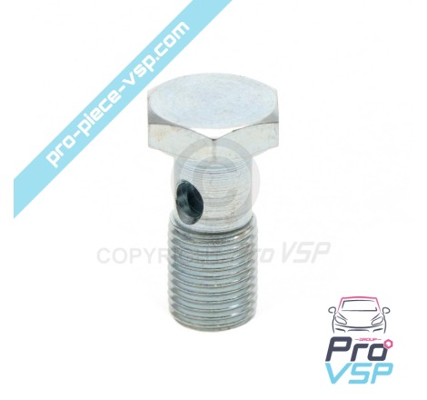 Banjo fitting screw