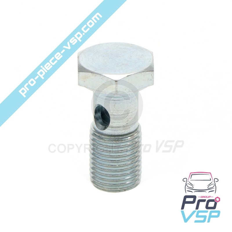 Banjo fitting screw