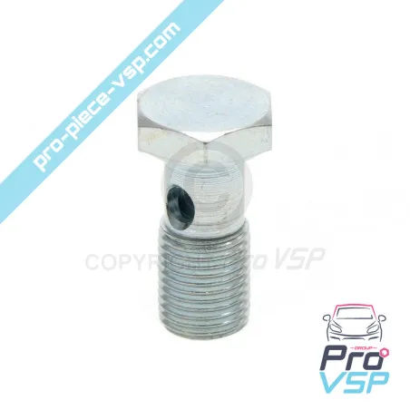 Tornillo banjo lombardini focs y progress