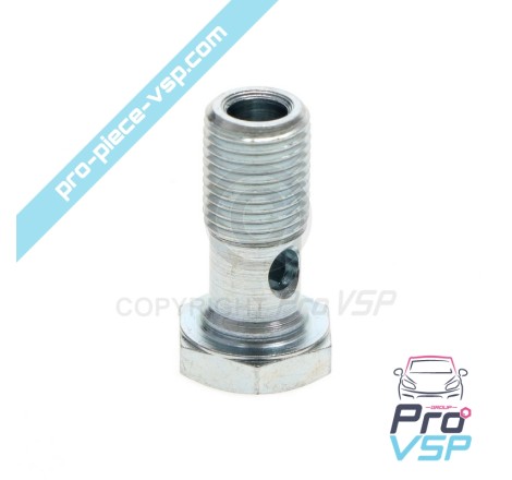 Banjo fitting screw