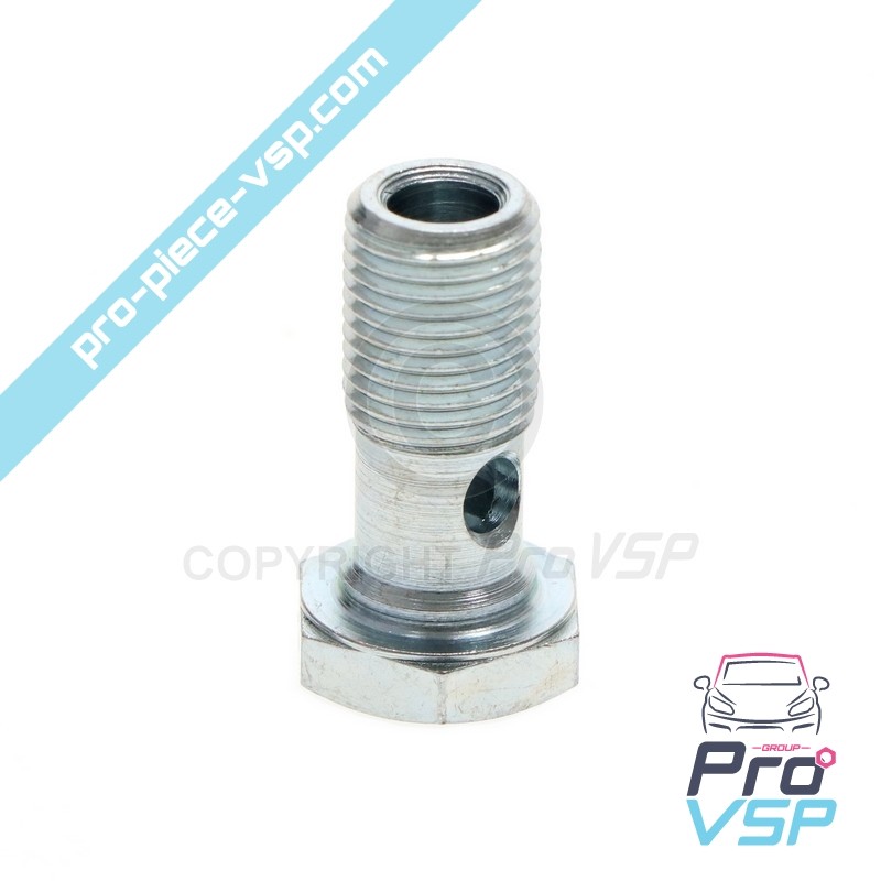 Banjo fitting screw