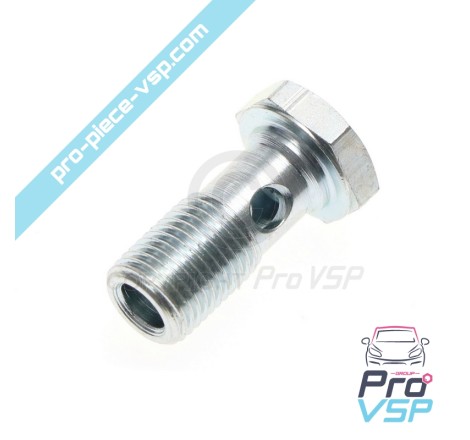 Banjo fitting screw