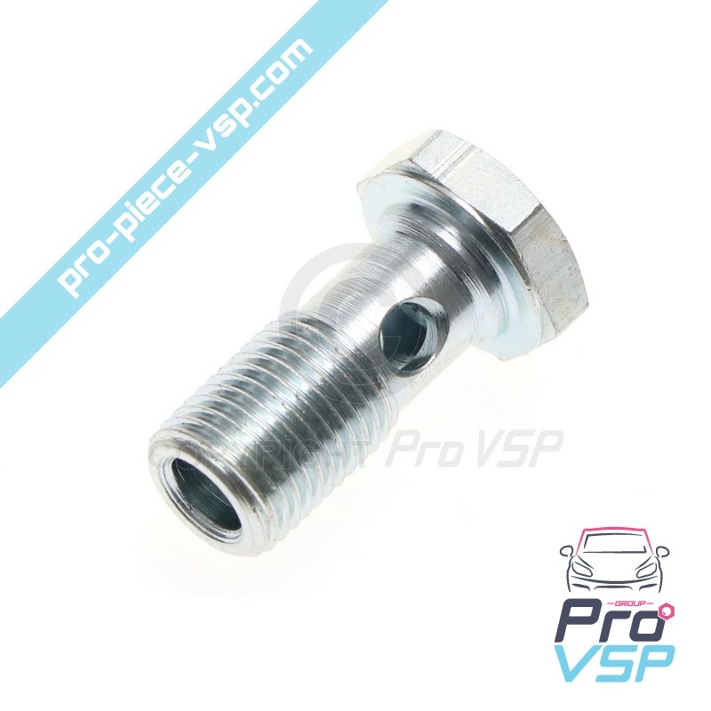 Banjo fitting screw