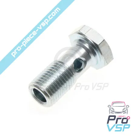 Tornillo banjo lombardini focs y progress