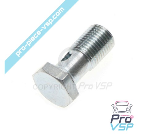 Banjo fitting screw