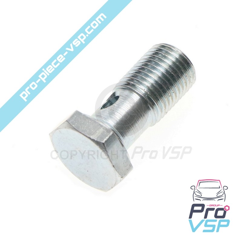 Banjo fitting screw
