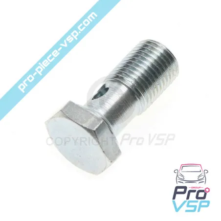 Tornillo banjo lombardini focs y progress