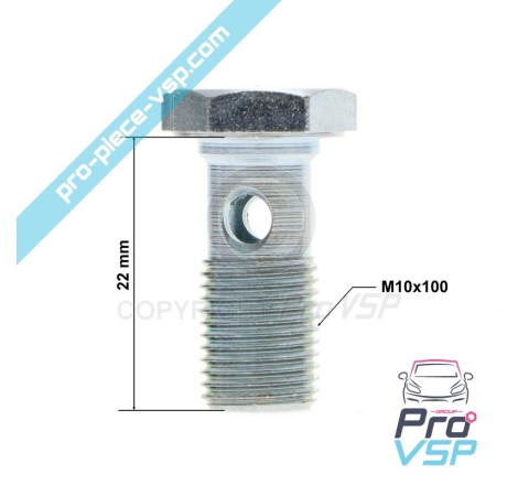 Banjo fitting screw