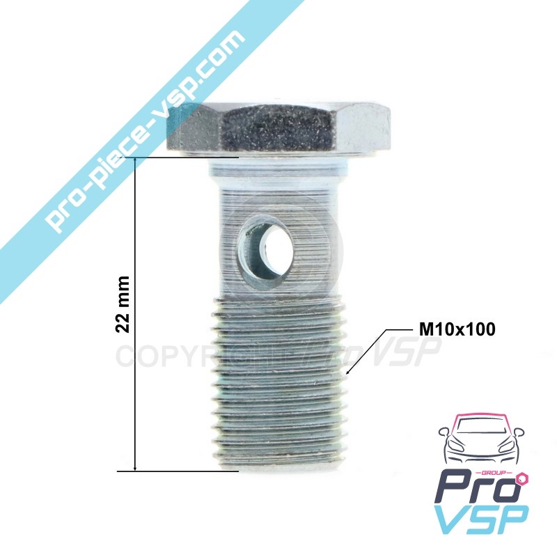 Banjo fitting screw
