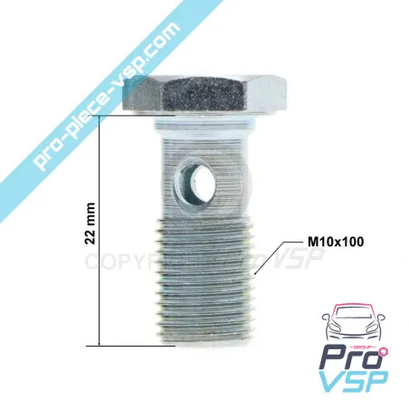 Tornillo banjo lombardini focs y progress