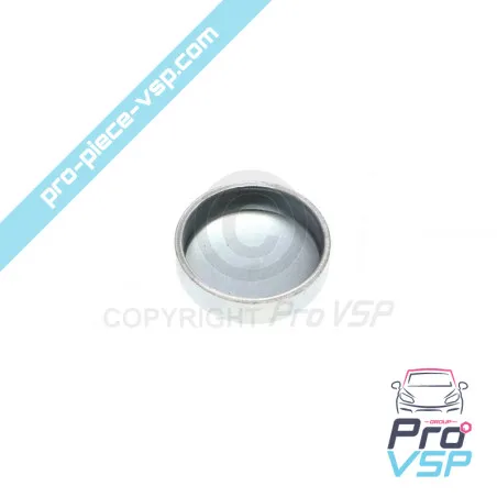 Pastille de sablage Ø 18 mm pour moteur Lombardini DCI