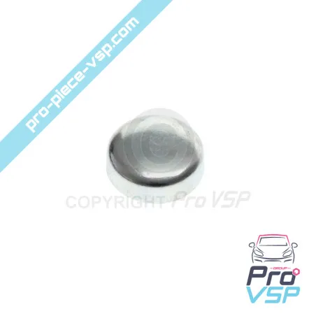Pastille de sablage Ø 18 mm pour moteur Lombardini DCI