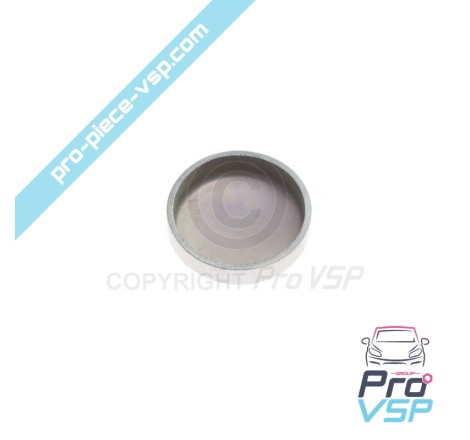 Pellet sabbiatura Ø 20 mm