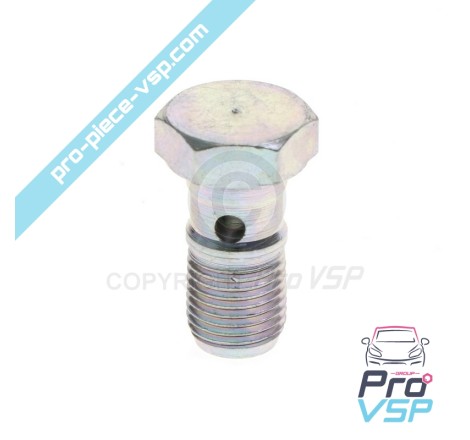 Brake hose screw