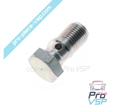 Brake hose screw