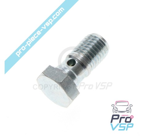 Brake hose screw