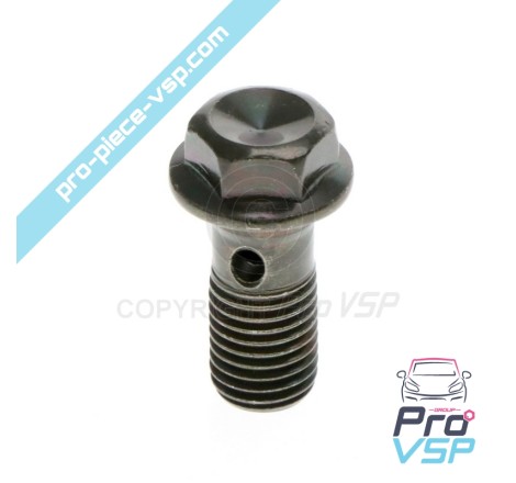 Brake hose screw