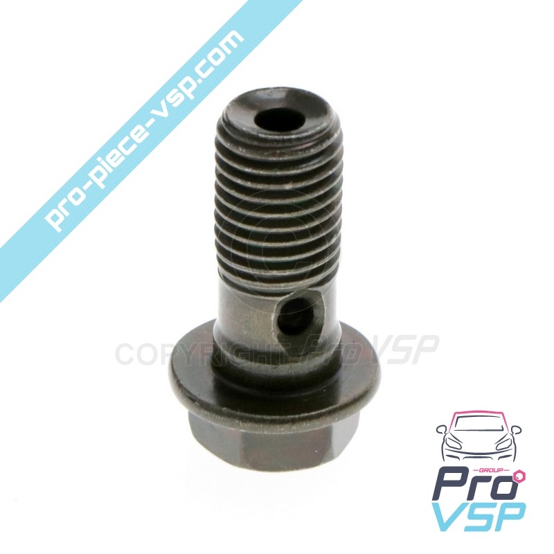 Brake hose screw