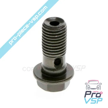Brake Flexible Banjo Screw