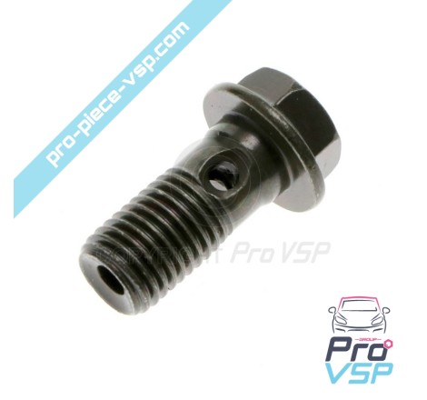 Brake hose screw