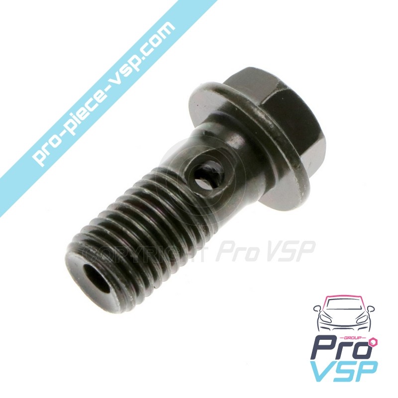 Brake hose screw