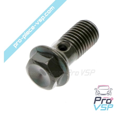 Brake hose screw