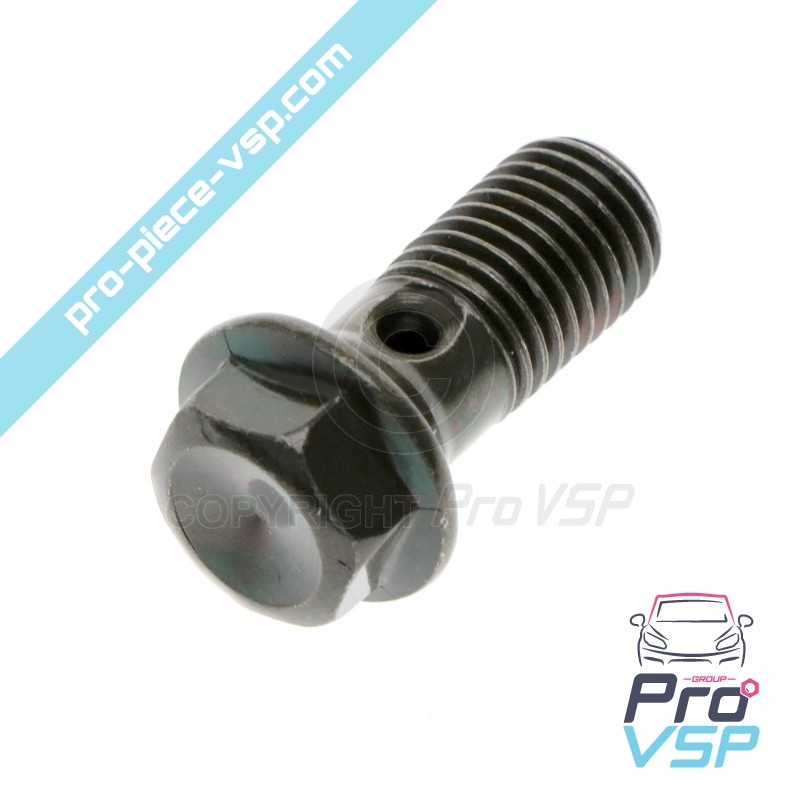 Brake hose screw