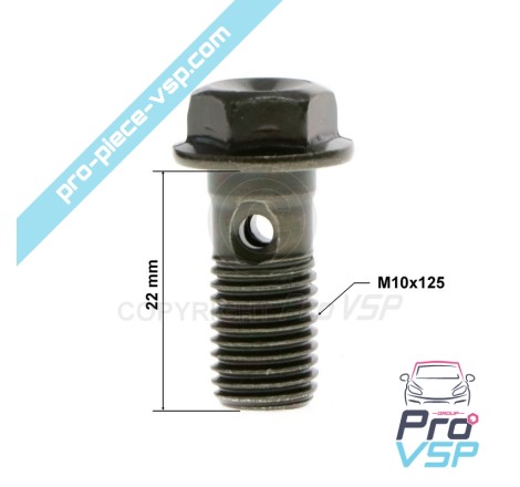 Brake hose screw