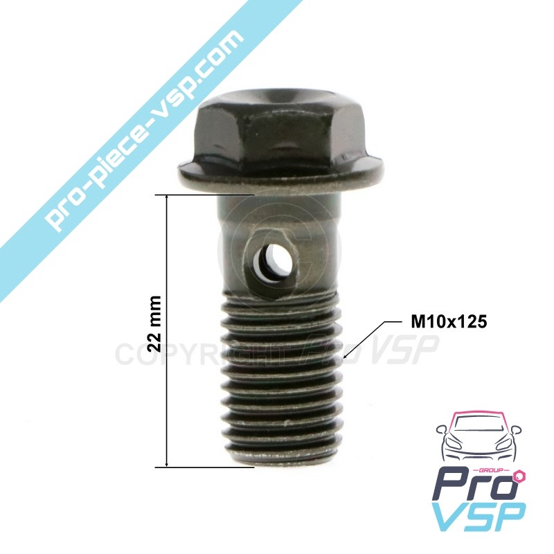 Brake hose screw