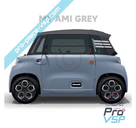Pack Ami Gray