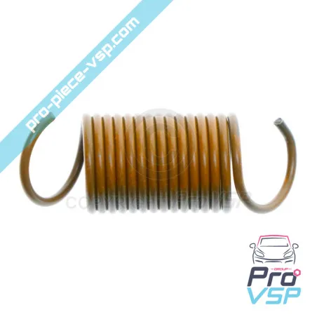 9kw Black Engine Blowtlet Spring Lombardini