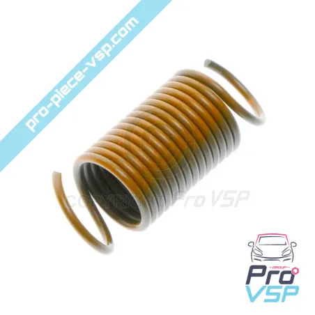 9kw Black Engine Blowtlet Spring Lombardini