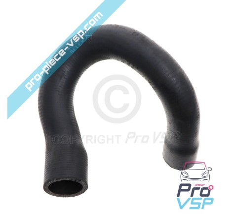 Radiator superior hose