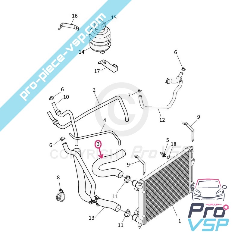 Radiator superior hose