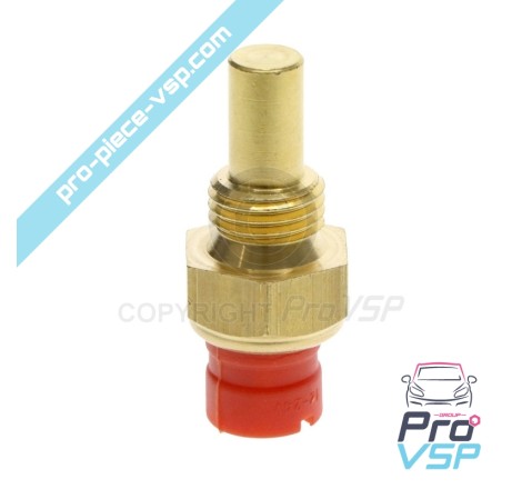 Sonda garantida Lombardini focs