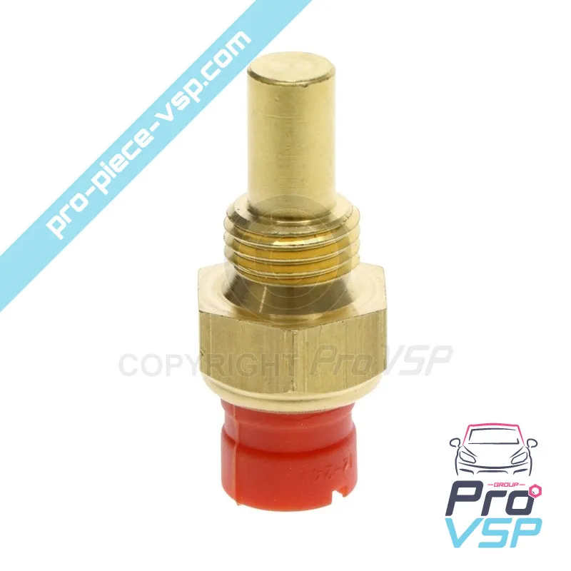 Sonda garantizada de Lombardini focs