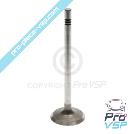 Válvula de ingestão de motor original Lombardini DCI