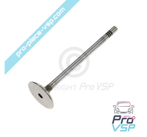 Intake valve