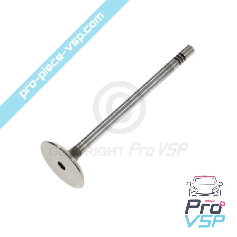 Original engine intake valve Lombardini DCI