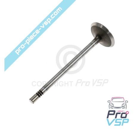 Intake valve