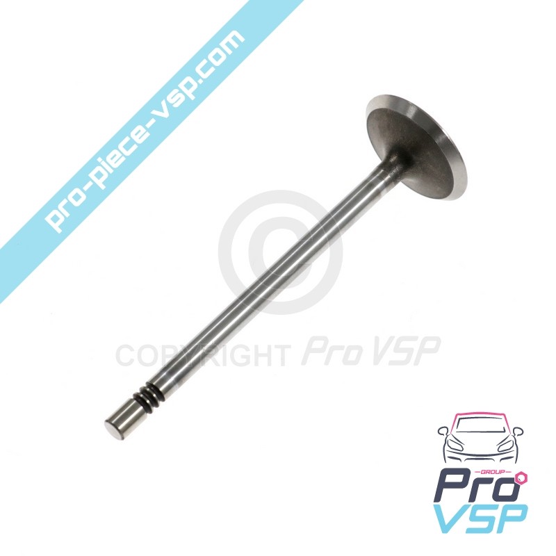 Intake valve