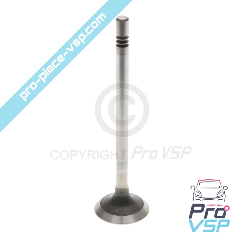 Exhaust valve